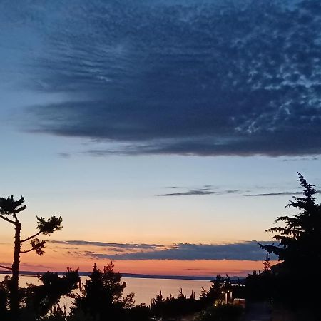 Villa Horizon Starigrad Paklenica Dış mekan fotoğraf
