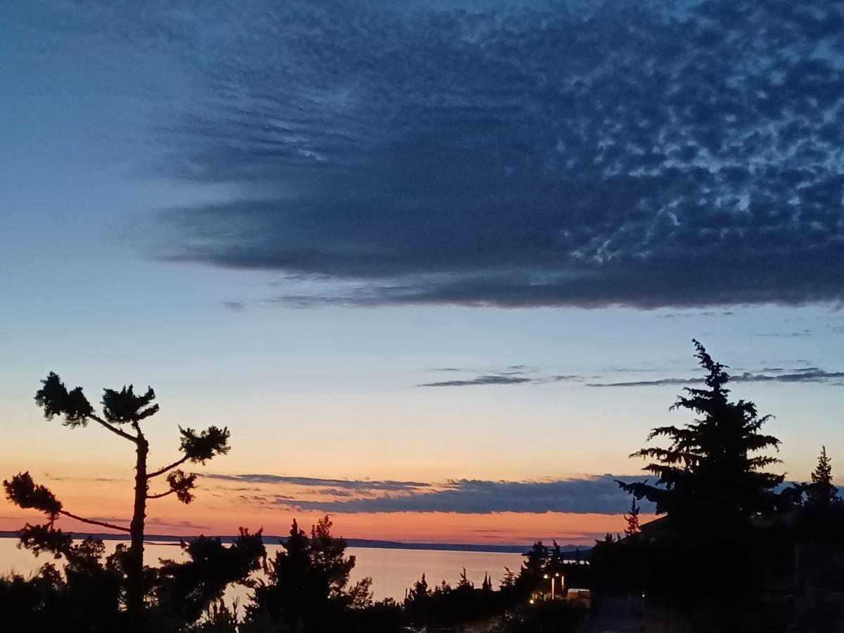Villa Horizon Starigrad Paklenica Dış mekan fotoğraf