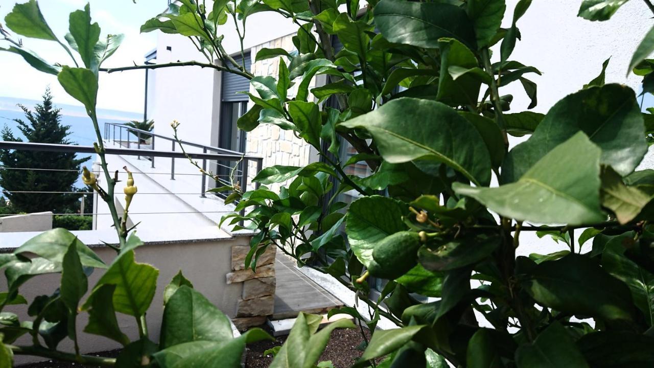 Villa Horizon Starigrad Paklenica Dış mekan fotoğraf